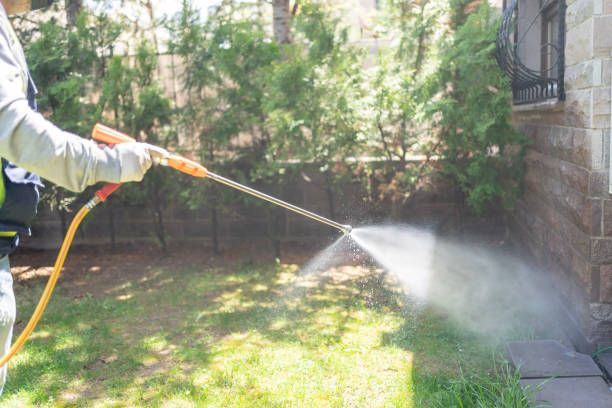 Lawn Pest Control in Grand Saline, TX